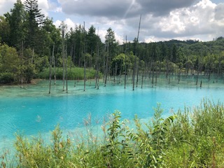 ブログ写真　青い池